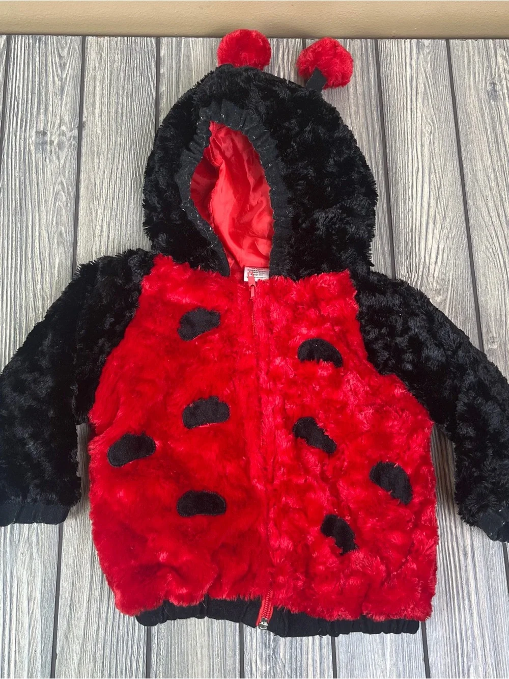 Lady Bug Baby Costume 24m